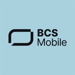 BCS Mobile GmbH